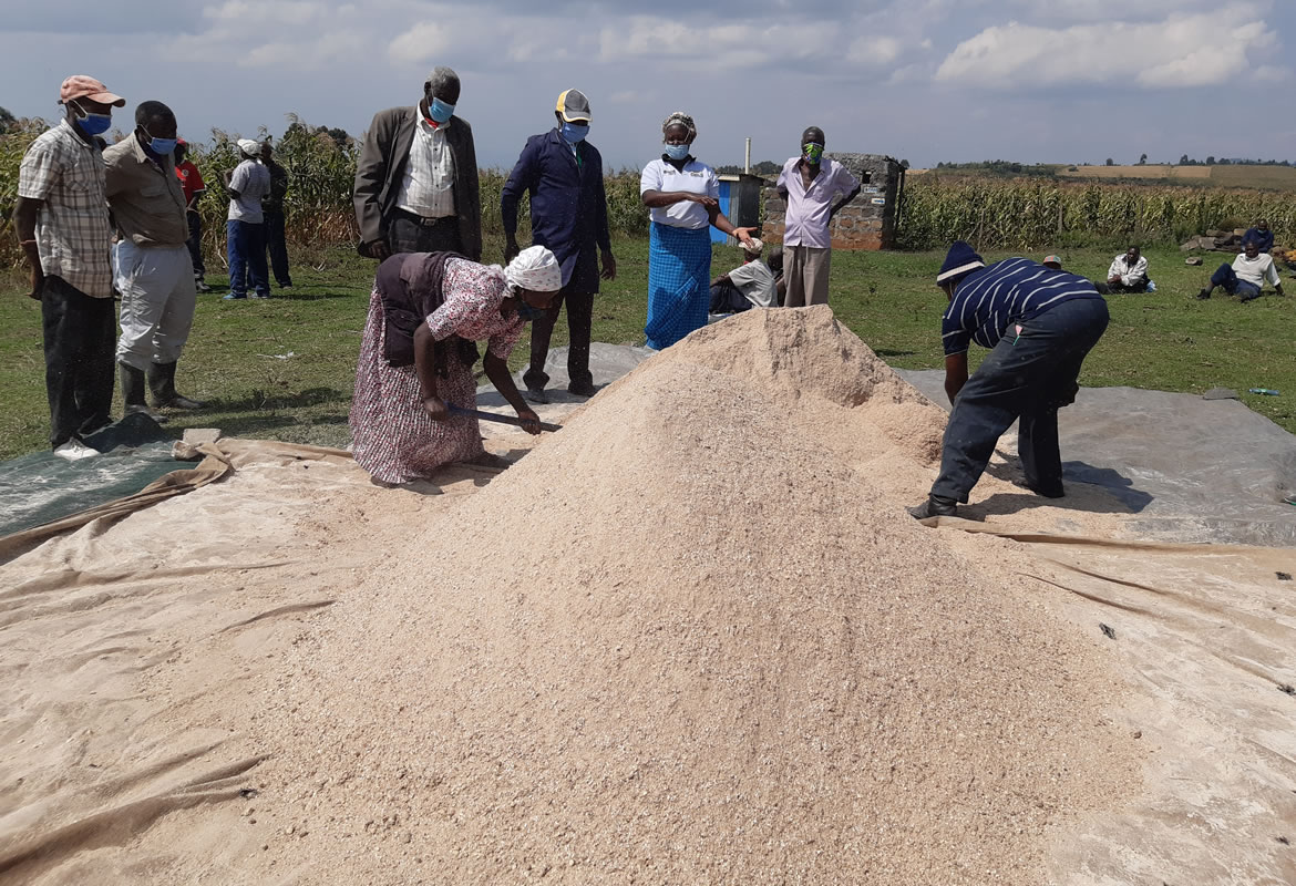 Poultry feed formulation across CBOs in Gilgil