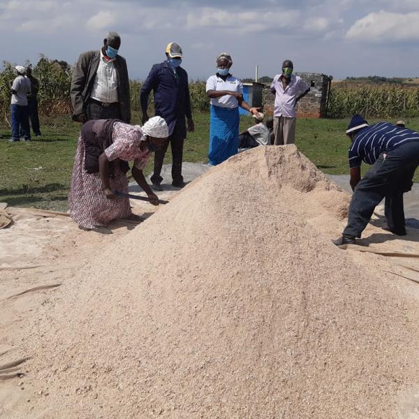 Poultry feed formulation across CBOs in Gilgil