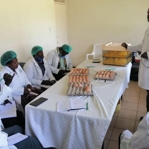 Training of CORPS in poultry value chain management